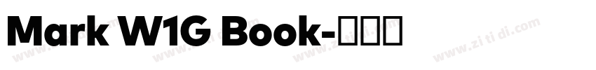Mark W1G Book字体转换 Mark W1G Book字体转换